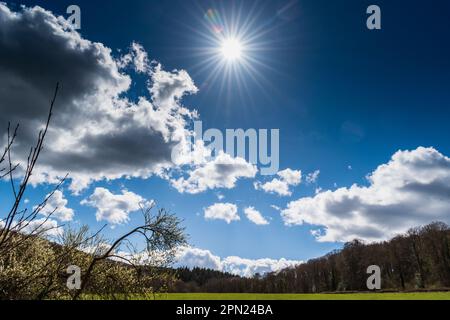 Sunstar at the Knapp and Papermill nature reserve, Worcestershire, UK Stock Photo