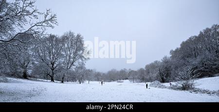 Malvern Link common snow day Stock Photo