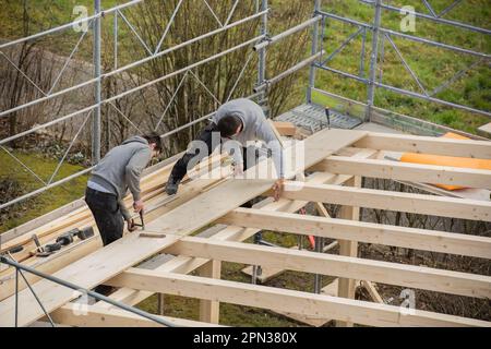Two young carpenters building a carport. Apprentice learns from trainer. Stock Photo