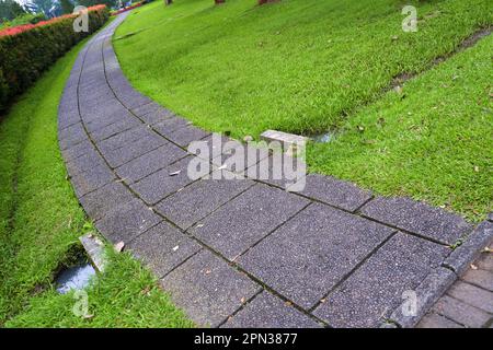 The garden's road is made of paving stone Stock Photo