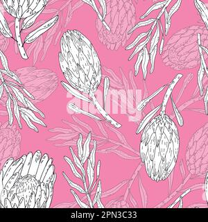 Hand drawn vector seamless pattern line art white flowers king protea on a pink background.  Stock Vector
