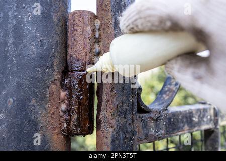 lubricating of rusty gate hinge with oil from plastic oiler close up outdoors Stock Photo