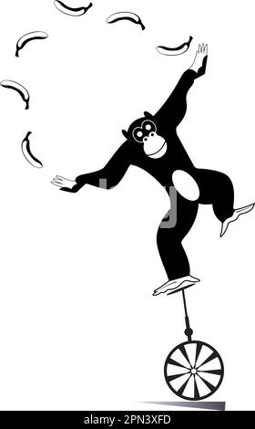 Equilibrist monkey rides on the unicycle and juggling the bananas. Cute monkey balances on the unicycle and juggling the bananas. Black and white Stock Vector