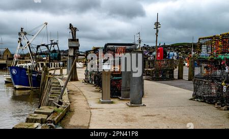 Fishing trawler moored in West Bay harbour. Commercial fishing. Brexit. UK food security. Fish production. Fishing industry. Fishing catch. Colourful. Stock Photo