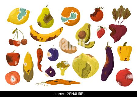 Rotten vegetables and fruit set vector illustration. Cartoon bad unhealthy products from kitchen litter and waste bin, collection of moldy expired food ingredients with brown skin, rot and mold Stock Vector