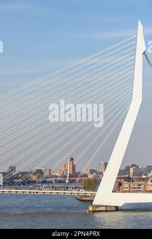 Erasmusbrug suspension bridge over Nieuwe Mass River, Rotterdam, South Holland Province, Kingdom of the Netherlands Stock Photo