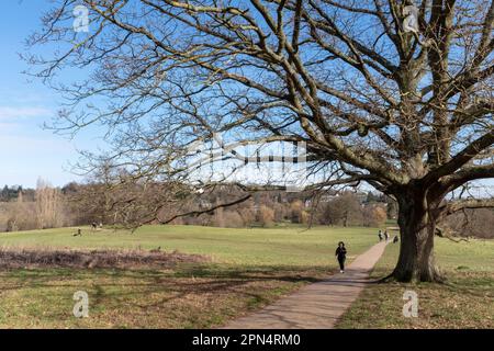 Hampstead Heath, London, UK Stock Photo