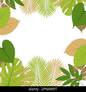 A frame of tropical leaves with a white background Stock Vector