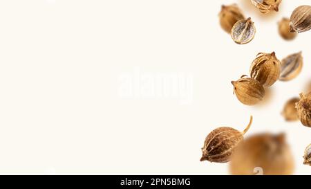 Falling Organic dried coriander seeds float on a beige background for recipes. Floating in the air food Creative concept. Spicy and Fragrant Seasoning Stock Photo