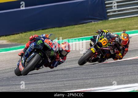 Hora de babar: veja todas as motos da MotoGP 2022 - Motonline