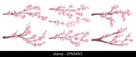 Cherry blossom sakura twigs with pink flowers collection. Elegant Japanese blooming branches plant with flowers set. Asian Chinese spring decorative cherry blossoming. Vector oriental illustration Stock Vector