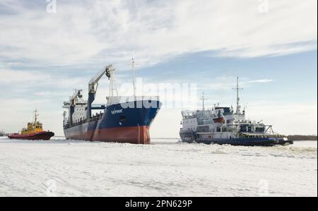 April, 2023 - Arkhangelsk. Dry cargo ship 'Bering' and icebreaker 'Captain Chaadaev'. Icebreaking operations on the Northern Dvina River. Russia, Arkh Stock Photo