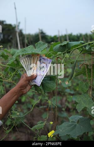 ndian farmer holding cash in hands, Indian rupees, happy farmer Stock Photo