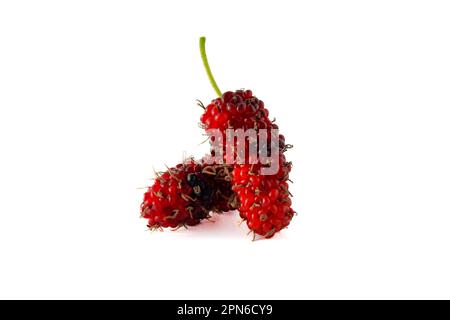 Pile of organic Mulberry fruits isolated on white background Stock Photo