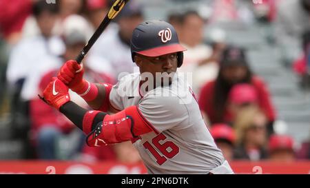 This is a 2023 photo of Jackson Tetreault of the Washington Nationals  baseball team. This image reflects the Nationals active roster as of  Friday, Feb. 24, 2023, when this image was taken. (