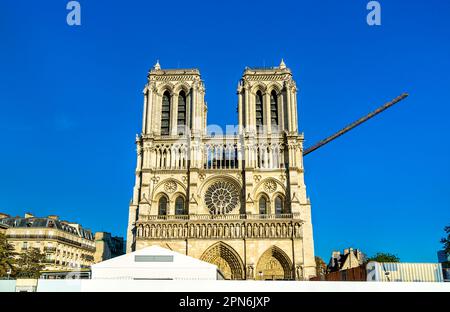 Notre-Dame de Paris Cathedral under reconstruction after a fire. France Stock Photo