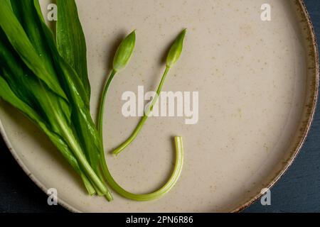 Wild garlic. Flower buds of wild garlic anf leaves on a plate. Stock Photo