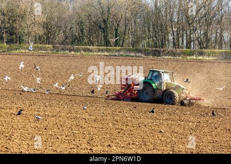 A tractor at work in a Scottish field. Stock Photo