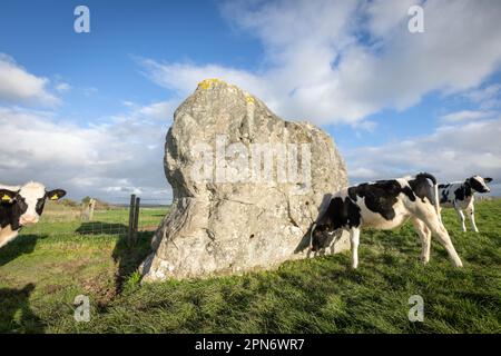 Avebury henge and stone circles on the 11th November 2022 in Avebury, Wiltshire, England. Credit: SMP News Stock Photo