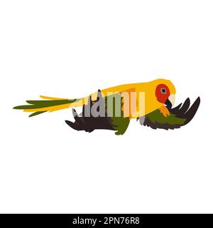 Colorful ara flying with spread wings vector illustration Stock Vector