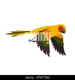 Colorful exotic ara with spread wings vector illustration Stock Vector