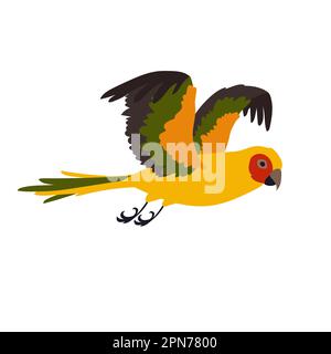 Tropical ara flying with spread wings vector illustration Stock Vector