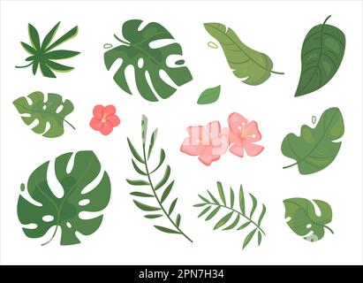 Set of vector tropical leaves. Green foliage of exotic palms and trees, pink flowers. Flat style. Stock Vector