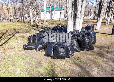 Plastic garbage bags with last year's foliage at the spring city park. Black waste bags. Concept of garbage collection, ecology, environmental cleanup Stock Photo