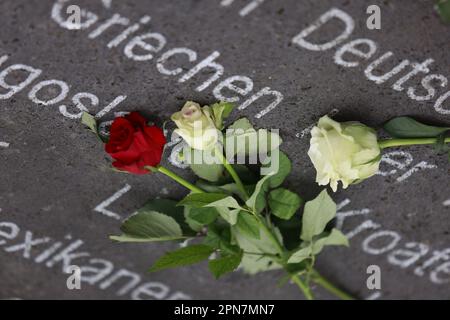 Nordhausen, Germany. 17th Apr, 2023. Roses lie on a memorial stone on the memorial square at the commemoration ceremony for the 78th day of the liberation of Mittelbau-Dora concentration camp. US troops had reached the camp on 11. April 1945. Since the date this year coincided with the Jewish Passover, the commemoration will be held a little later this year. held a little later. Credit: Matthias Bein/dpa/Alamy Live News Stock Photo