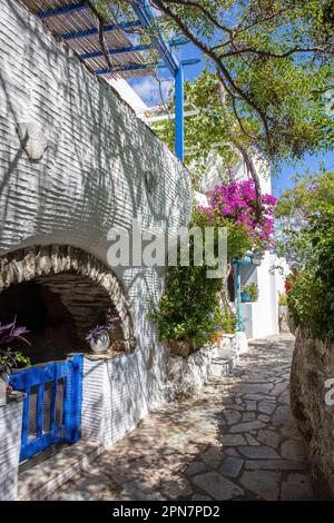 Narrow Wooden Door Home Entrance in Amsterdam Stock Photo - Alamy