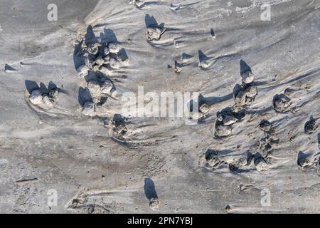 Gray background of cracked cement, solidified mortar interspersed with grains of sand, streaks. Original building background for your photos Stock Photo