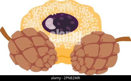 Dessert icon isometric vector. Homemade shortbread fruit cookie and cedar cone. Dessert, food concept Stock Vector