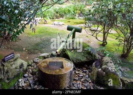Kyoto, Japan - March 31st 2019, Gardens around Ryoan-ji temple, Temizuja - water tank for ritual of washing the hands and mouth before entering Stock Photo