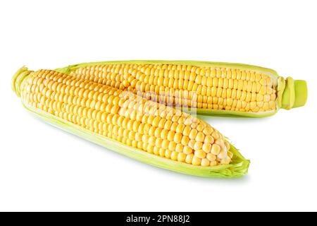 Two ears of sweet corn with husk isolated on white background Stock Photo