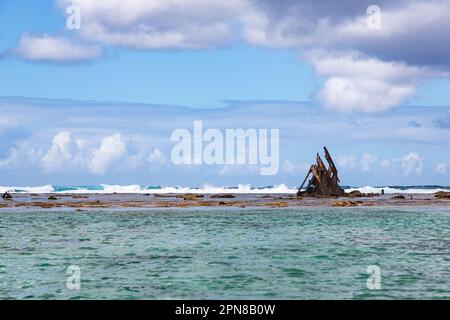 Ship wreck remains of the Dalblair that was grounded by a cyclone at Pointe d'Esny, Mauritius, in 1902 Stock Photo