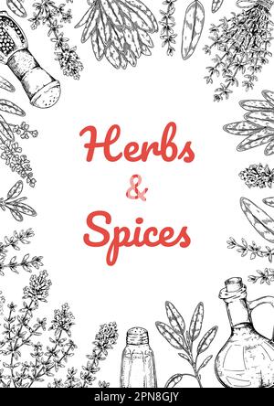 Herbs and spices vertical design. Hand draw background with cooking ingredients in sketch style. Detailed vector illustration Stock Vector