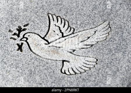 The Christian symbol of a dove with an olive branch in its beak pass at the end of forty days, that Noah opened the window of the ark. West bay cemete Stock Photo