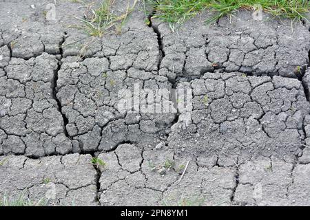 Cracked fertile ground in the field due to heat Stock Photo