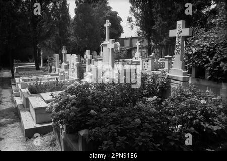 Christian /Bulgarian/ cemetery, Istanbul, Turkey, 1979 Stock Photo