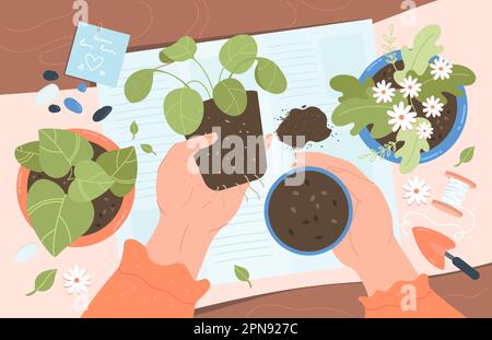 Person replanting flowers at home flat vector illustration Stock Vector