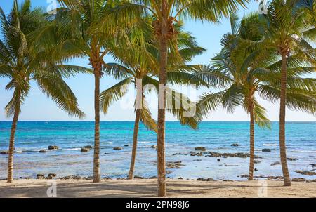 Beautiful tropical beach, summer holidays concept, Mexico. Stock Photo
