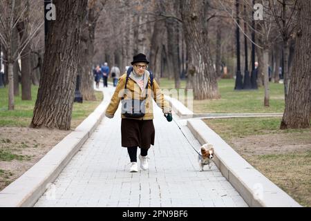 Elderly woman walking little dog in a spring park Stock Photo