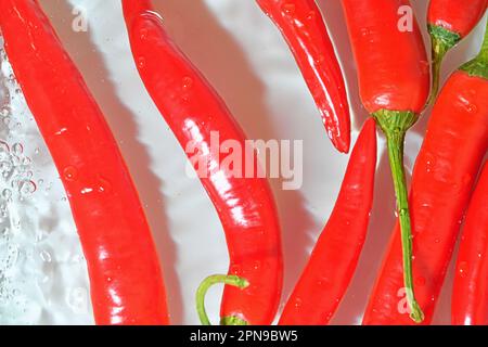 Red chilli peppers close-up in liquid with bubbles. Red chilli peppers with water bubbles. Close-up of fresh red chilli peppers on white background Stock Photo