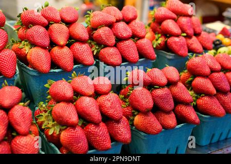 Many containers containing lots of strawberries. The garden strawberry is a widely grown hybrid species of the genus Fragaria. High quality 4k footage Stock Photo