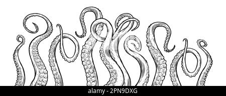 Octopus tentacles reaching upwards, squid-like marine animal body parts protruding from out of frame, cut for food or frame design, cartoon sketch. Stock Vector