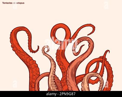 Red octopus tentacles reaching upwards, squid-like marine animal body parts protruding from out of frame, cut for food or frame design, cartoon sketch Stock Vector