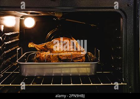 Ready golden roasted whole turkey in the oven, Thanksgiving food preparation Stock Photo