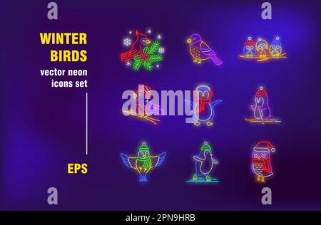 Winter birds neon signs set Stock Vector