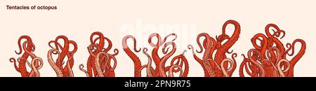 Red octopus tentacles reaching upwards, squid-like marine animal body parts protruding from out of frame, cut for food or frame design, cartoon sketch Stock Vector