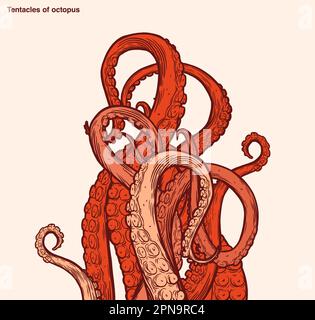 Red Octopus Tentacles Reaching Upwards, Squid-like Marine Animal Body 